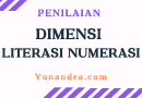 Dimensi Literasi Numerasi Matematika Asesmen Nasional Berbasis Komputer ANBK