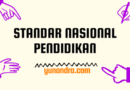 Standar Nasional Pendidikan di Indonesia