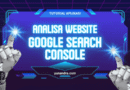 Website di Google Search Console