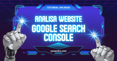 Website di Google Search Console